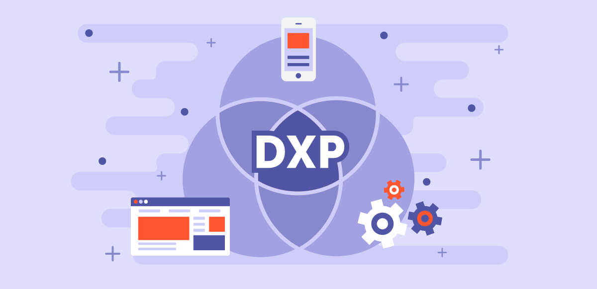 Understanding The Core Components of A DXP