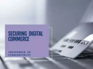 Cyber Security in E-Commerce